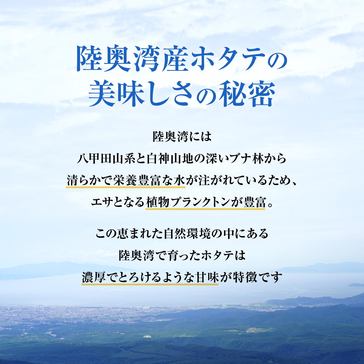 Amazon | 【 青森県 陸奥湾産 ほたて貝柱水煮 割肉 】 6缶セット 国産