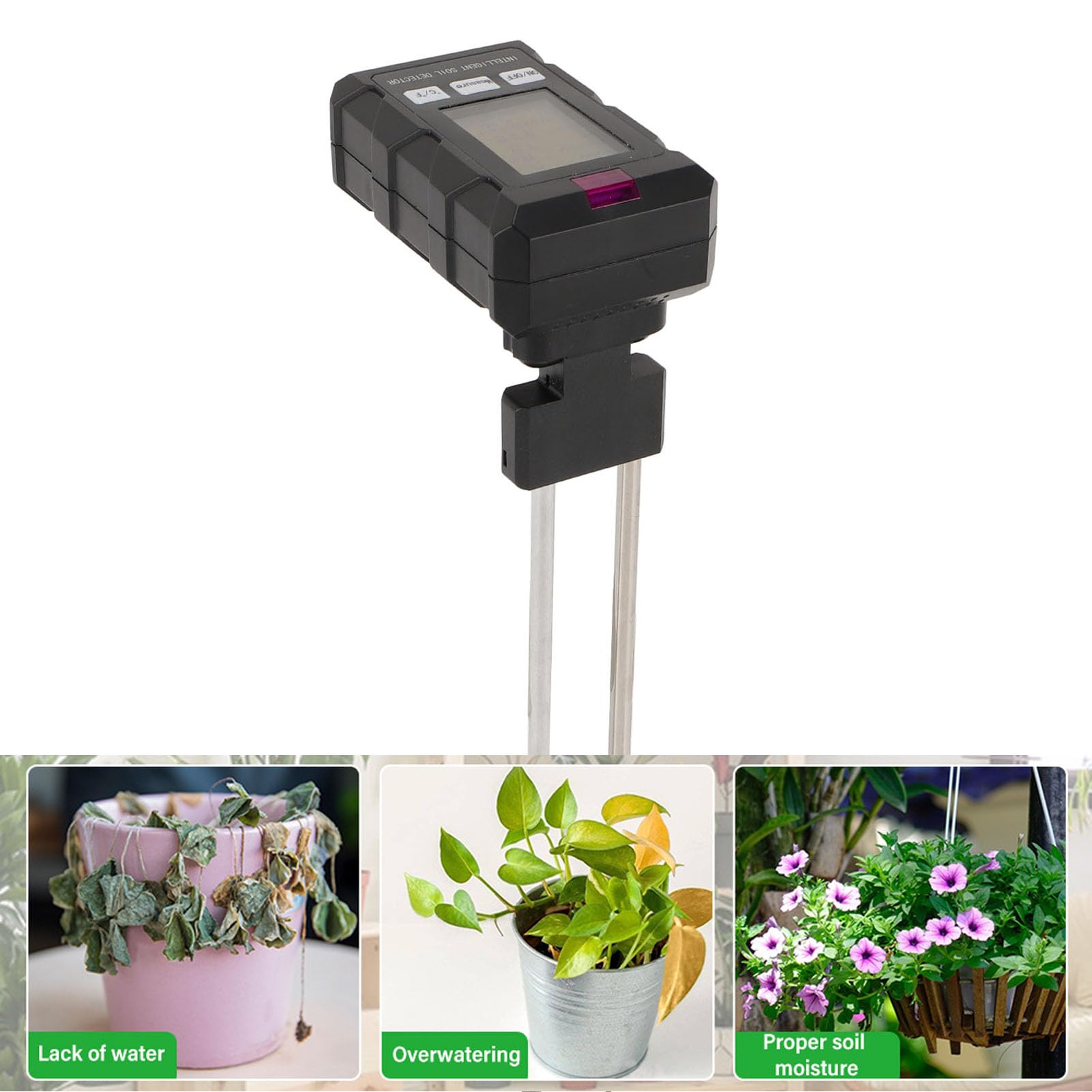 Bewinner Tester Digitale PH per Terreno 6 in 1, Kit Test PH Suolo Piante Interni, Misuratore Professionale Acqua e Terreno, Strumento Analisi Terreno Preciso