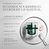 RéVive Mascarilla labial de rescate Renewal, tratamiento nocturno para labios secos y ásperos, hidratante, voluminizador y suavizante, con péptido RV Renewal, palmitoil tripéptido-1 y ceramida NP, 15g 5