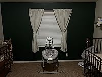 Review Image by Alexis Alexis