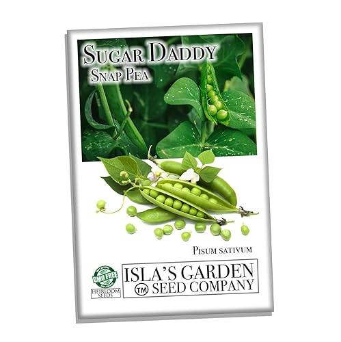 Miniatura 2 de Sugar Daddy - Semillas de guisantes para plantar, más de 50 semillas de reliquia por paquete, semillas de jardín de Isla (semillas de jardín de