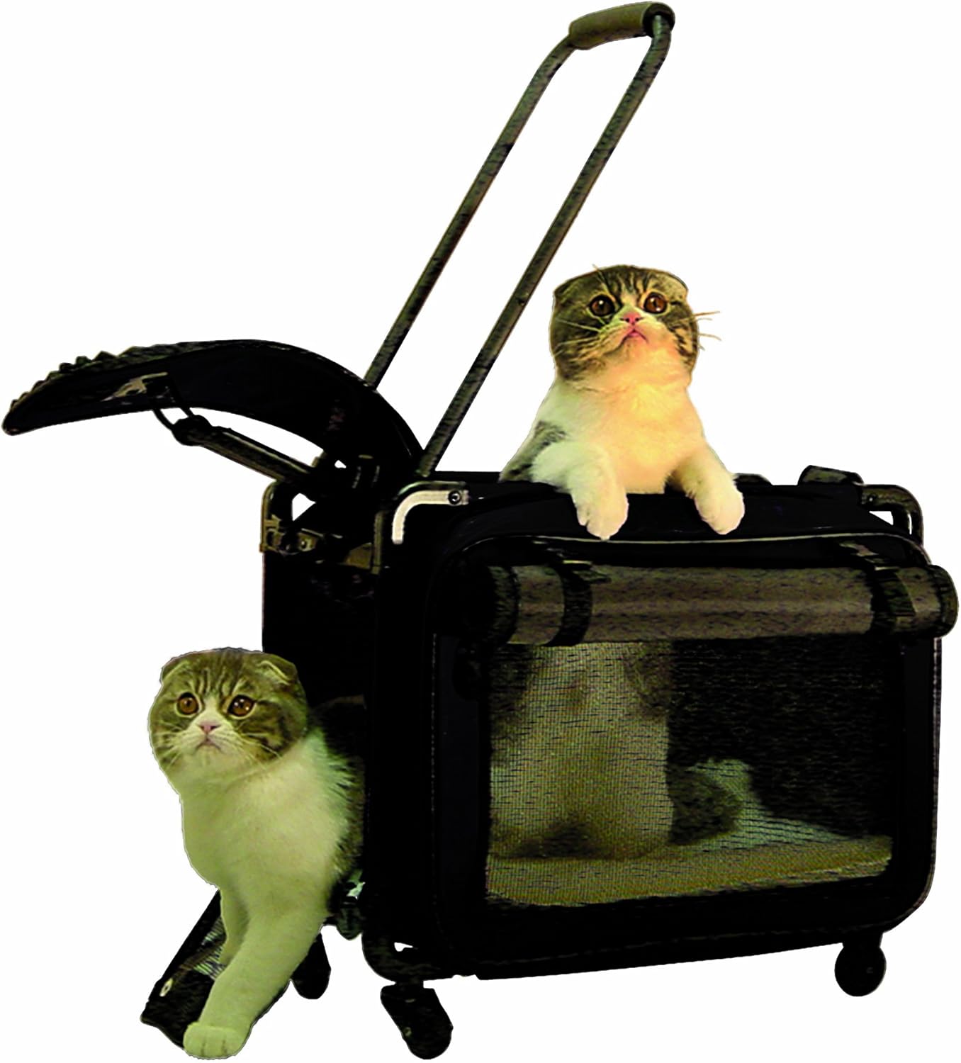 Tutto Lightweight Foldable Wheeled Pet Carriers (Black, Small) : Pet Carrier Strollers : Pet Supplies