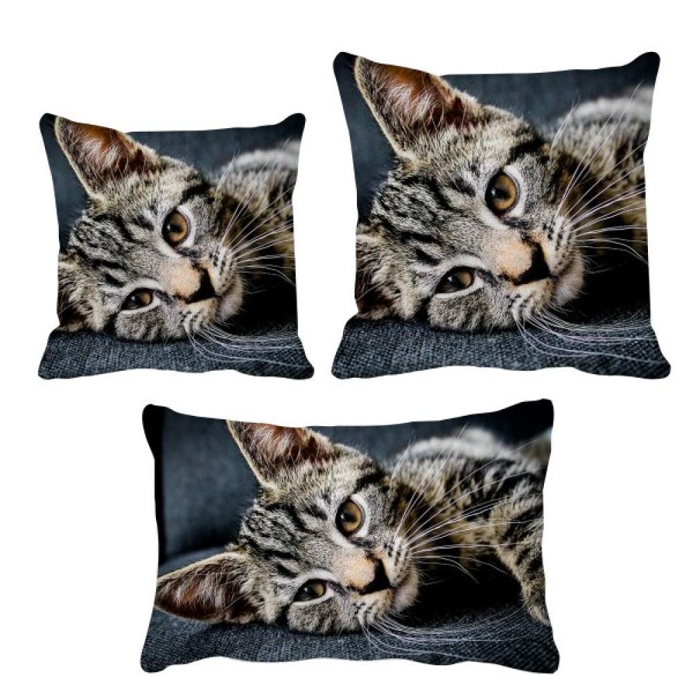 Housse de coussin motif chat pour creer une ambiance cocooning sur canape