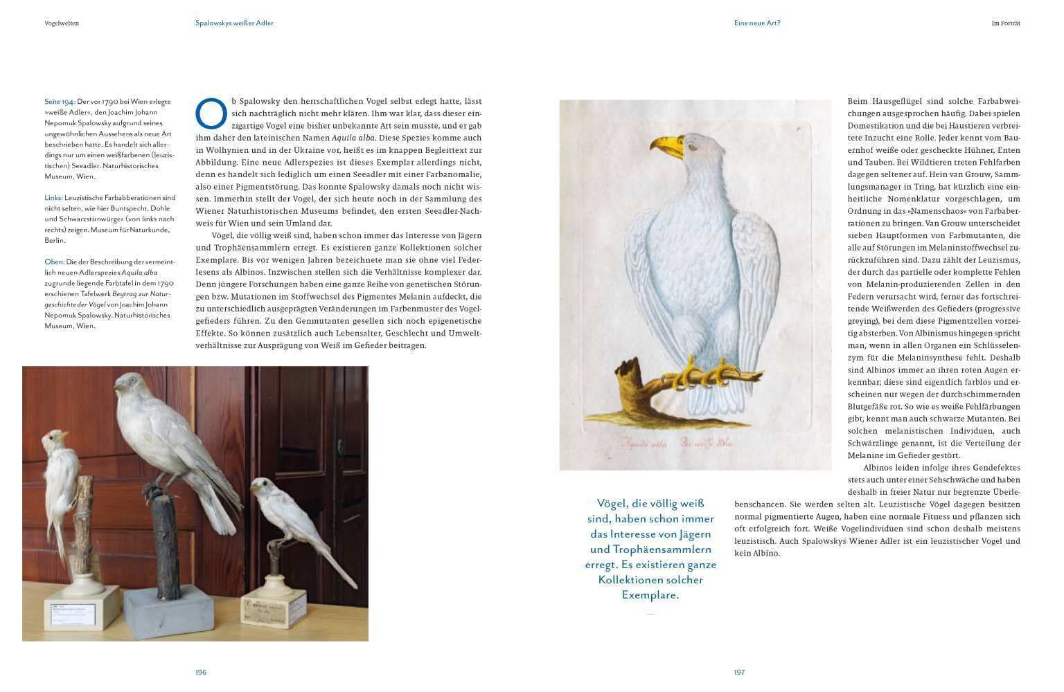 Vogelwelten: Expeditionen ins Museum