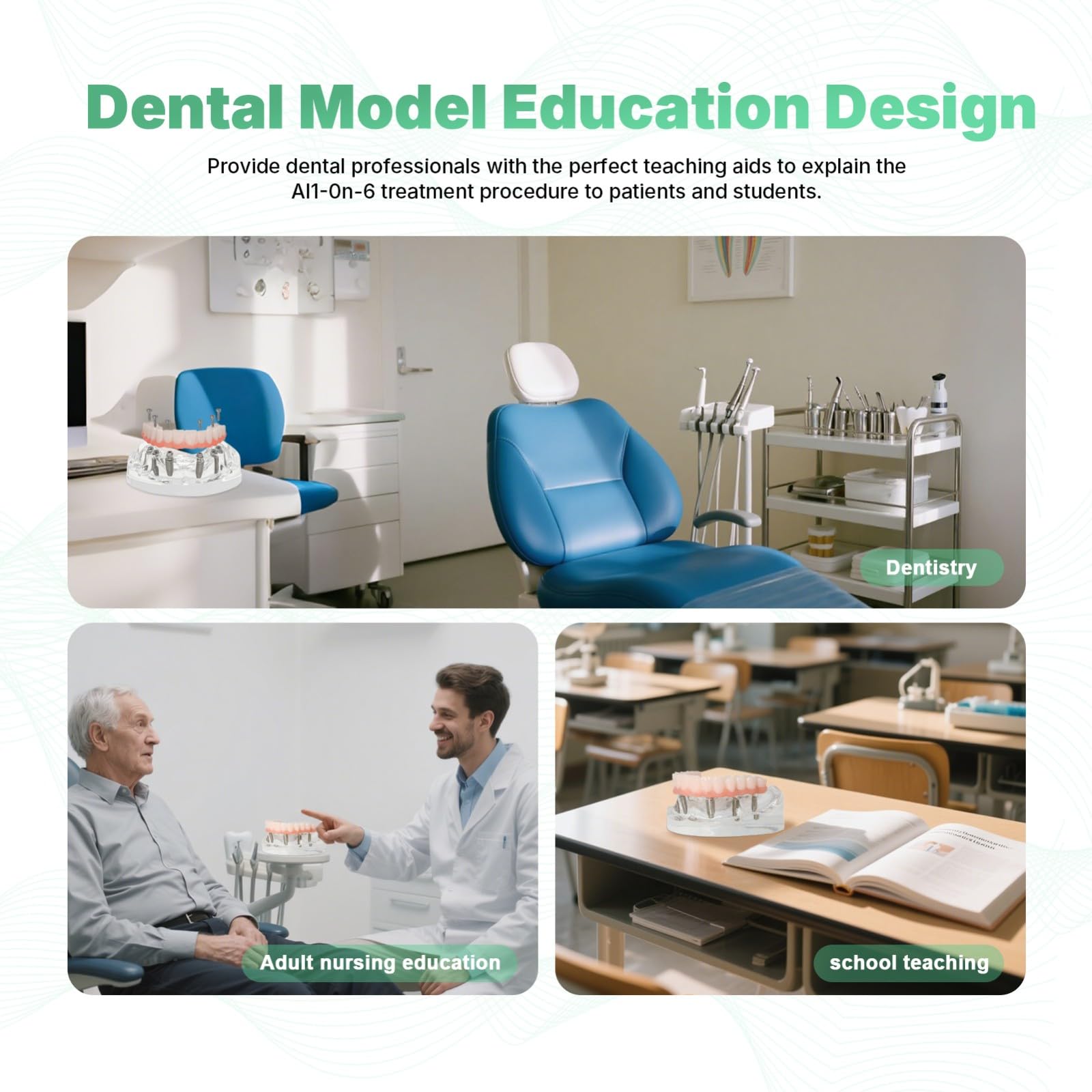 Modelo de implante dental de doble arco. Sistema de entrenamiento de sobredentadura All-On-6 y All-On-4. Bases transparentes para maxilar y mandíbula