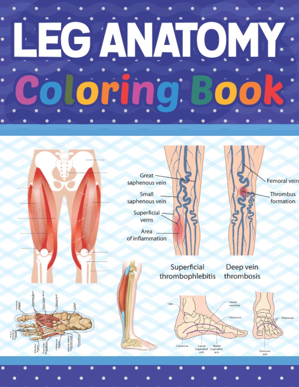 Leg Anatomy Coloring Book: Incredibly Detailed Self-Test Human Leg Anatomy Coloring Book for Anatomy Students | The Human Leg Anatomy self test guide ... Coloring Book for Kids Boys Girls Teens.