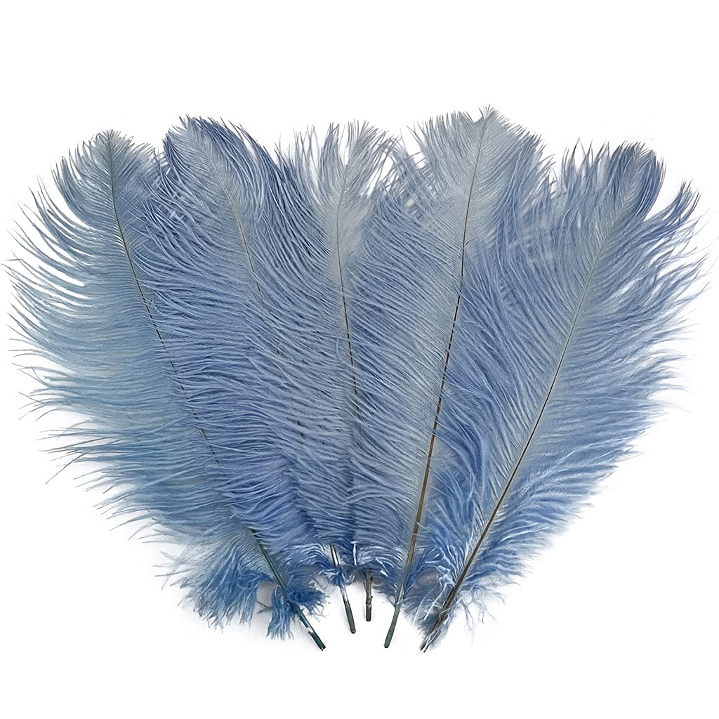 LONDGEN 10PCS Ostrich Feather 12-14 inch(30-35cm) Plumes for Party Wedding Centerpiece Festival Vases Decoration(Sky Blue)