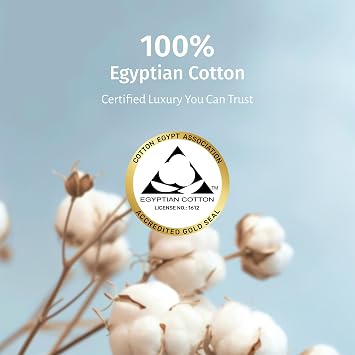 California Design Den 100% Egyptian Cotton Percale Bundle - 6 Piece Queen Size Sheet Set with 4 Pillowcases - White