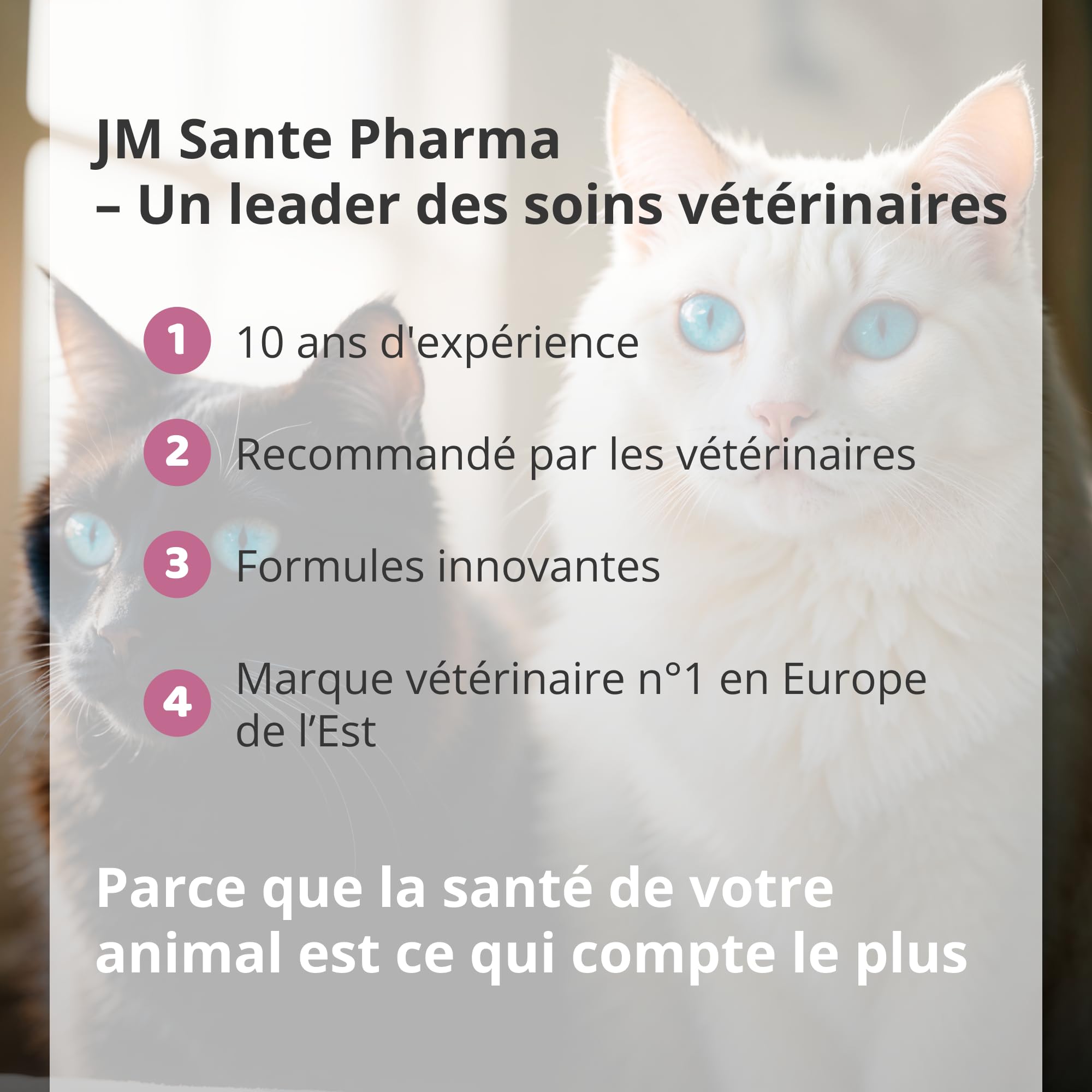 Pâte Anti-Diarrhée Professionnelle au Butyrate de Sodium – Soutient en Cas de Diarrhée – Probiotiques pour Chiens – Apaise l’Estomac – Favorise Le Système Digestif – 60 ML