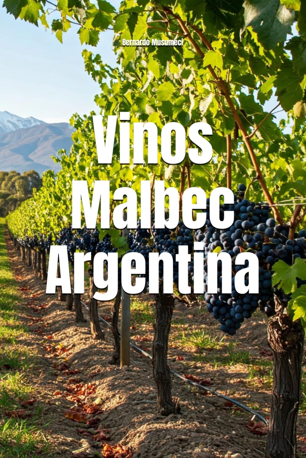 Vinos Malbec Argentina (Wines of the World: Argentina)