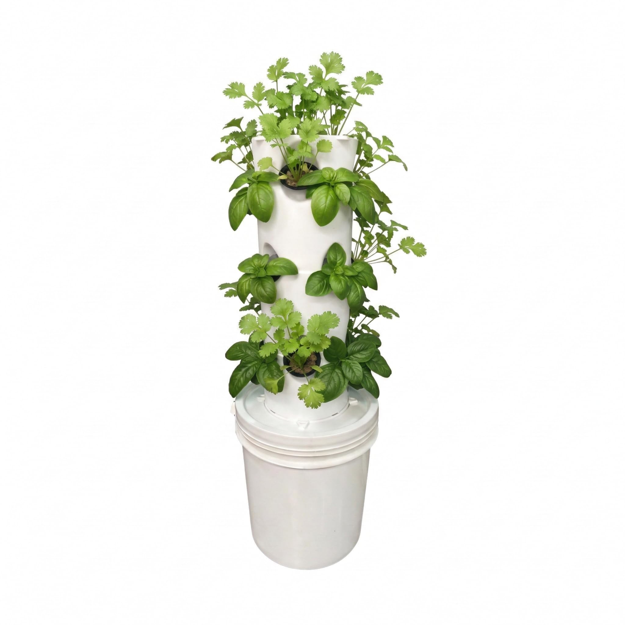 Green warrior 12 Planter Vertical Hydroponic&Aeroponic Tower System With Nutrients,Seeds&Coco Disc Perfect For Home Gardening-image-39
