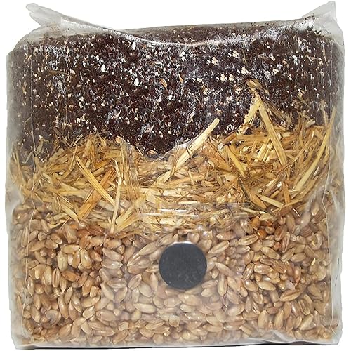 All in One Mushroom Grow Bag