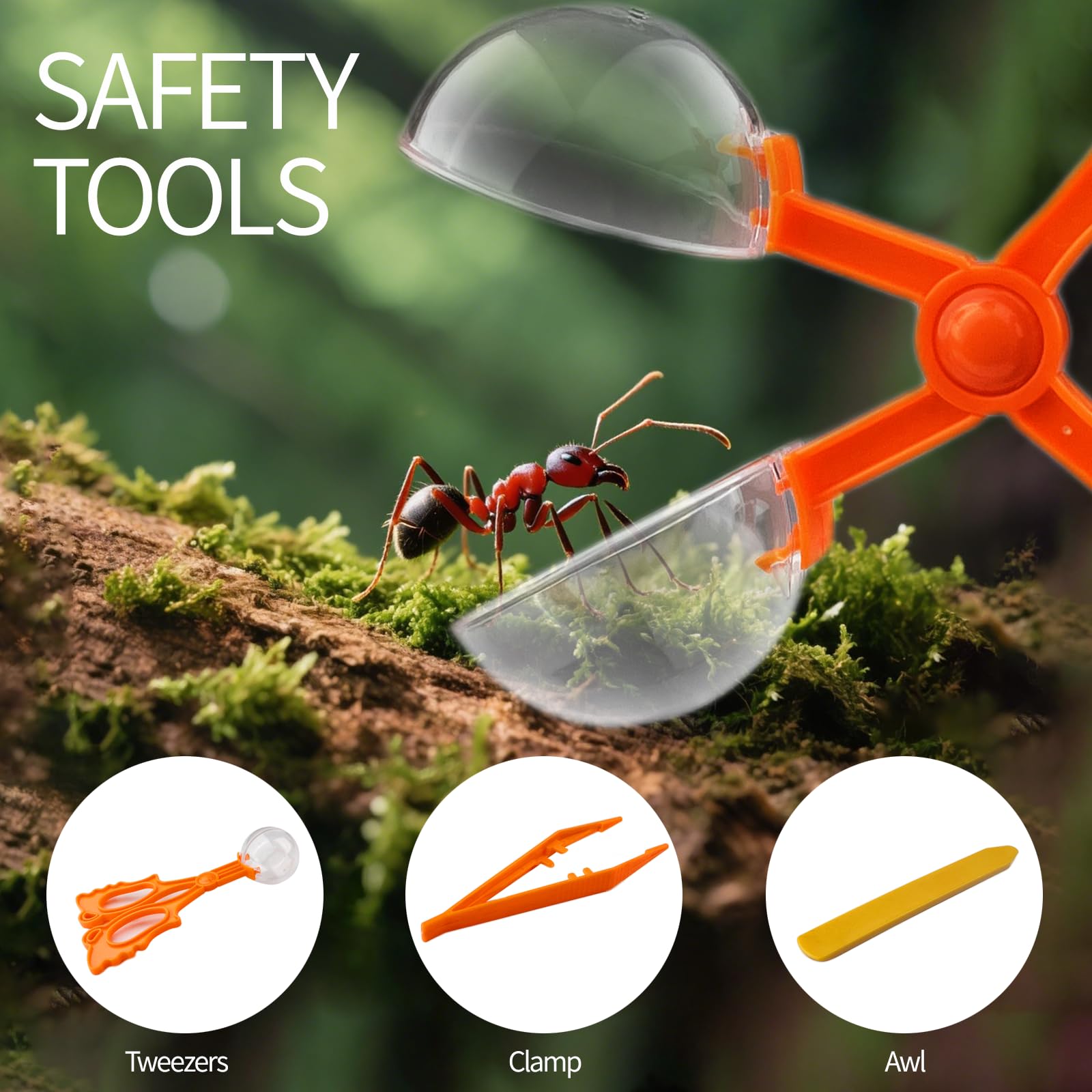 2 Pezzi Boite a Insectes Enfant, Barattolo Lente per Insetti Scatola con Pinzette, Kit Insecte Enfant Giochi di Esplorazione, Bambini Strumento Esplorazione Delle Scienze Della Natura