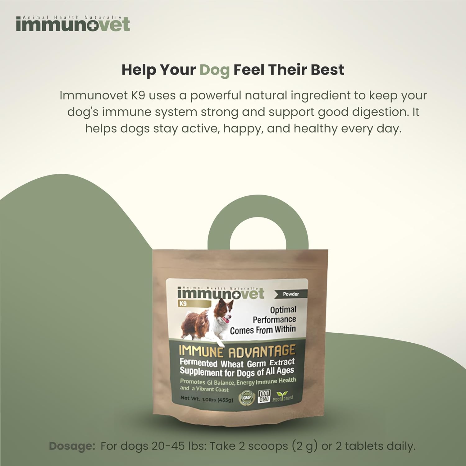 Plant-Based Dog Supplement Powder | Fermented Wheat Germ Extract | Boosts Immunity, Gut Health & Energy | Natural Supplement for Dogs of All Ages | Non-GMO, Vet Trusted, Safe Formula (455g)