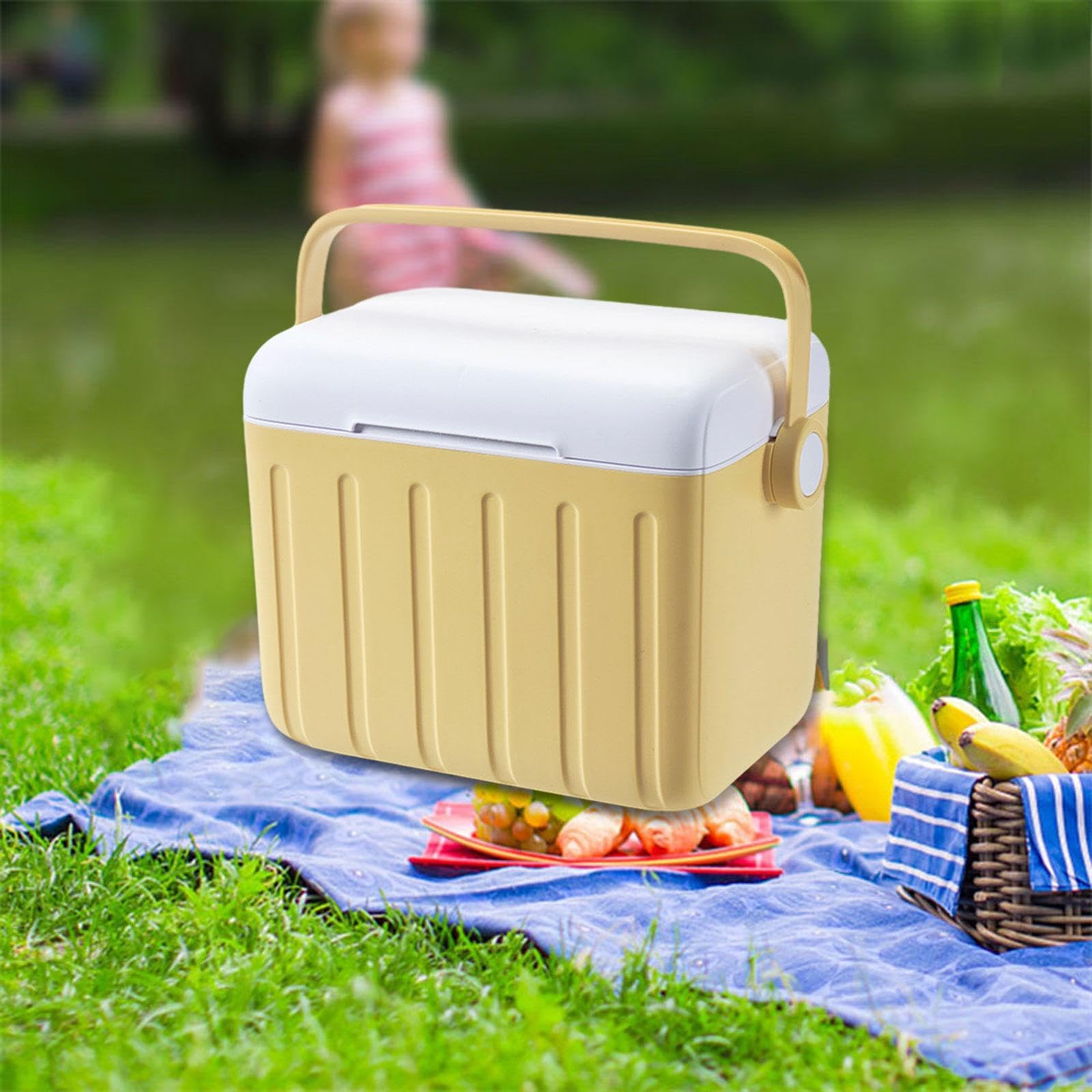 Nevera Portátil de 6 L con Asa, Recipiente Hermético, Ideal para Picnic, Viajes, Playa Y Entrega de Comida.