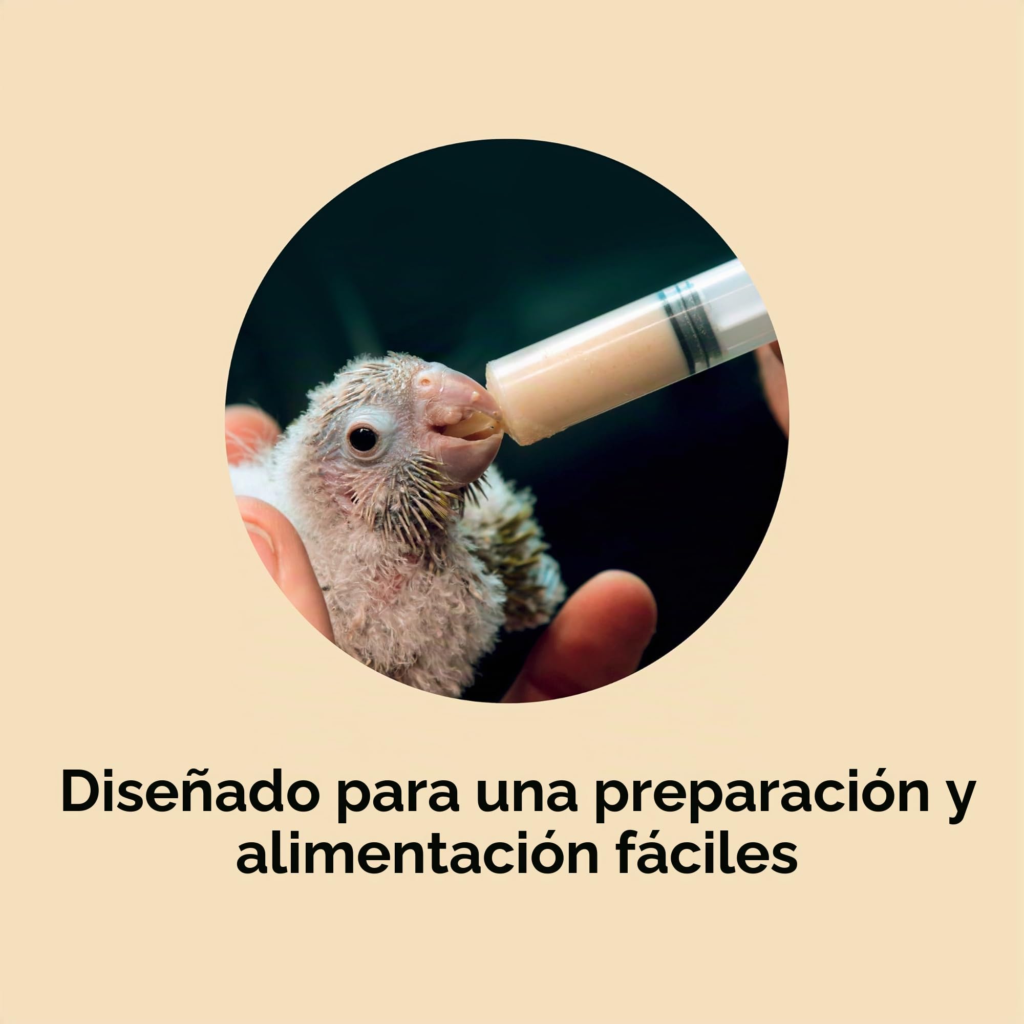 Kaytee Alimentación Manual exacta para pájaros bebés, 18 onzas