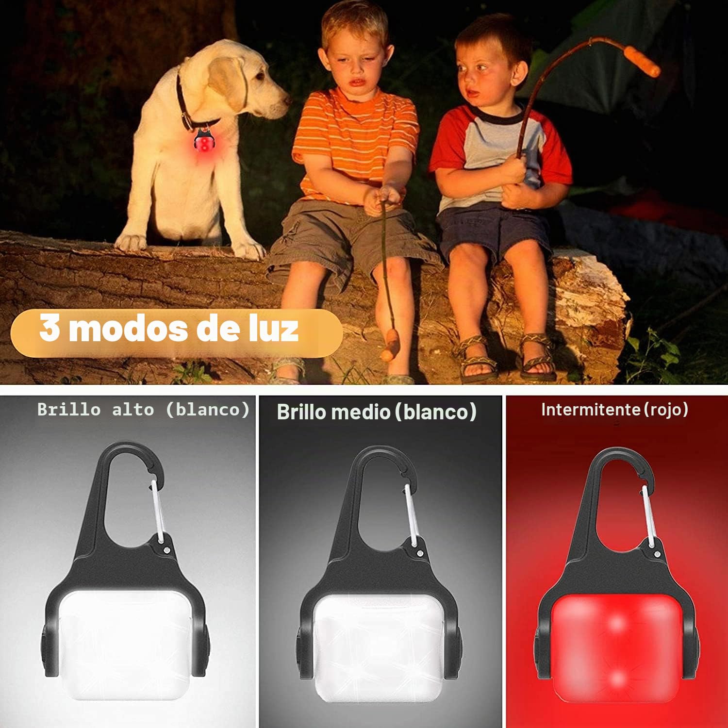 Derlights Luz LED para collar de perro, recargable por USB, impermeable IP65, seguridad para la oscuridad, Plástico Acrilonitrilo butadieno estireno