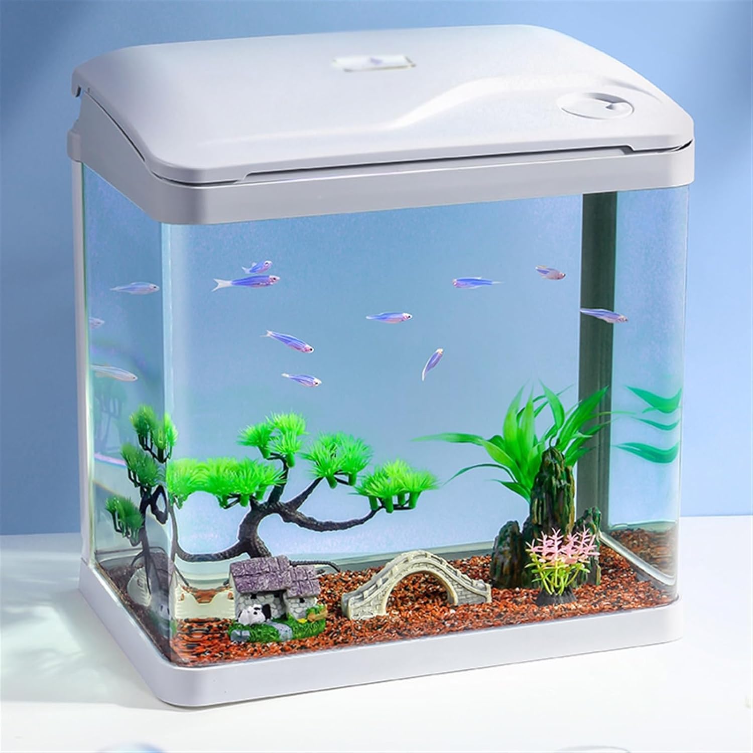 ZENGXJYCQINGJIANG 水槽 水槽 酸素ろ過付き 一体型 ガラス水槽 小型