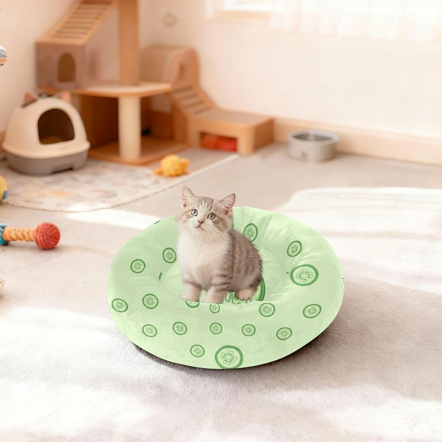 Cucumber Green Pattern Dog Bed Small Medium Dog Bed Washable Donut Cat Beds Cute Pet Puppy Beds for Pets Supplies with Washable Cover,M