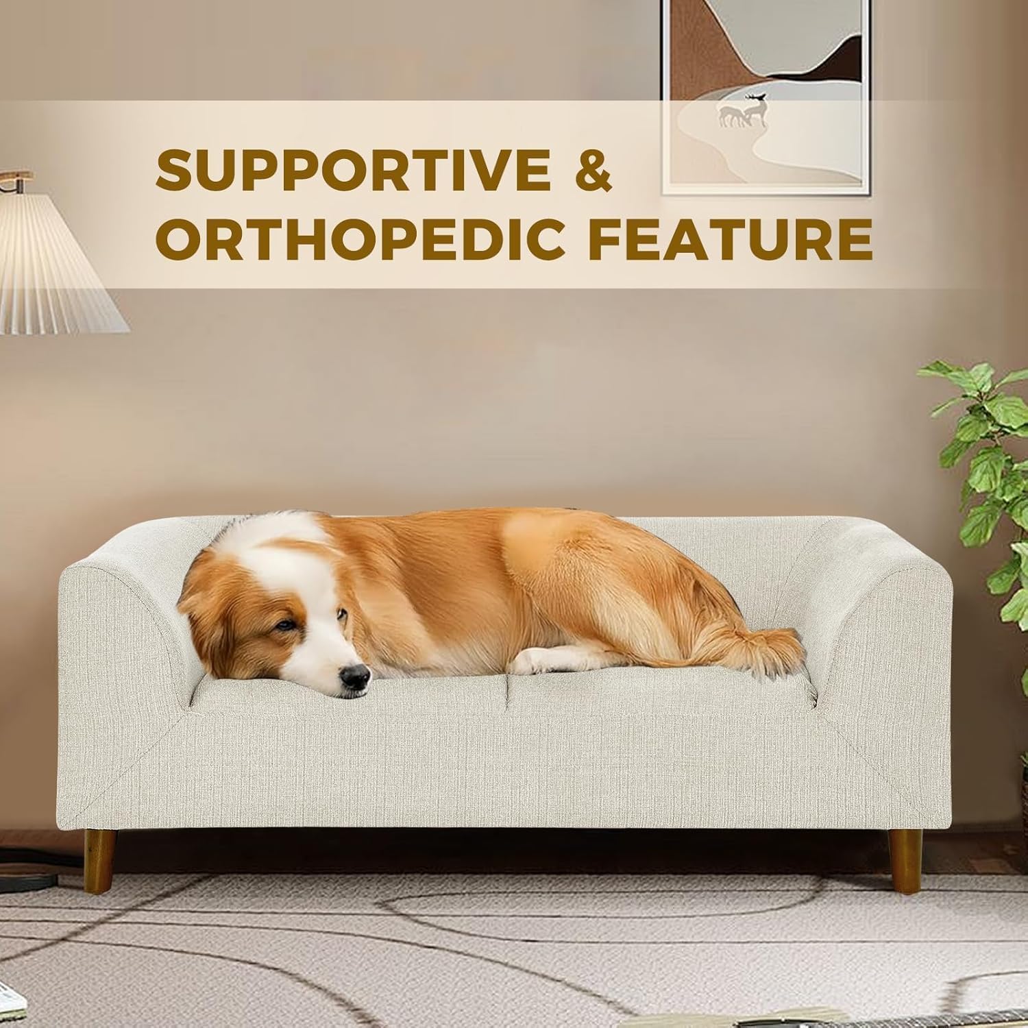 Dog Sofa Bed for Medium Dogs with Backrest and Armrest, Memory Foam Dog Sofa Couch, Modern Elevated Pet Couch Bed with Wooden Legs, Beige