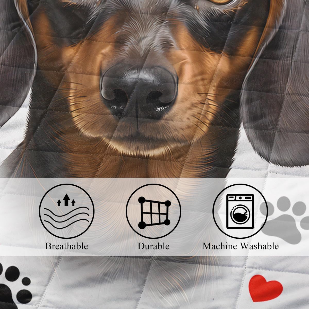 Dachshund Comforter Set for Human, Love Paw Print Dachshunds Soft Quilt Queen Soft Wiener Dog Bedspread Dachshund Stuffed Animal Dachshund Gifts for Women