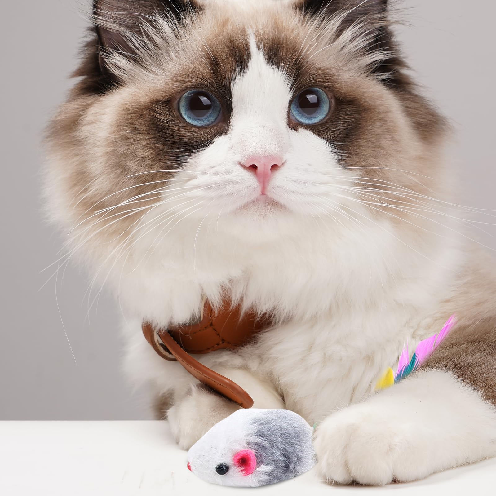 10 Giocattoli Per Gatti – Topi Finti In Peluche Con Piume E Sonaglio, Ideali Per Cuccioli