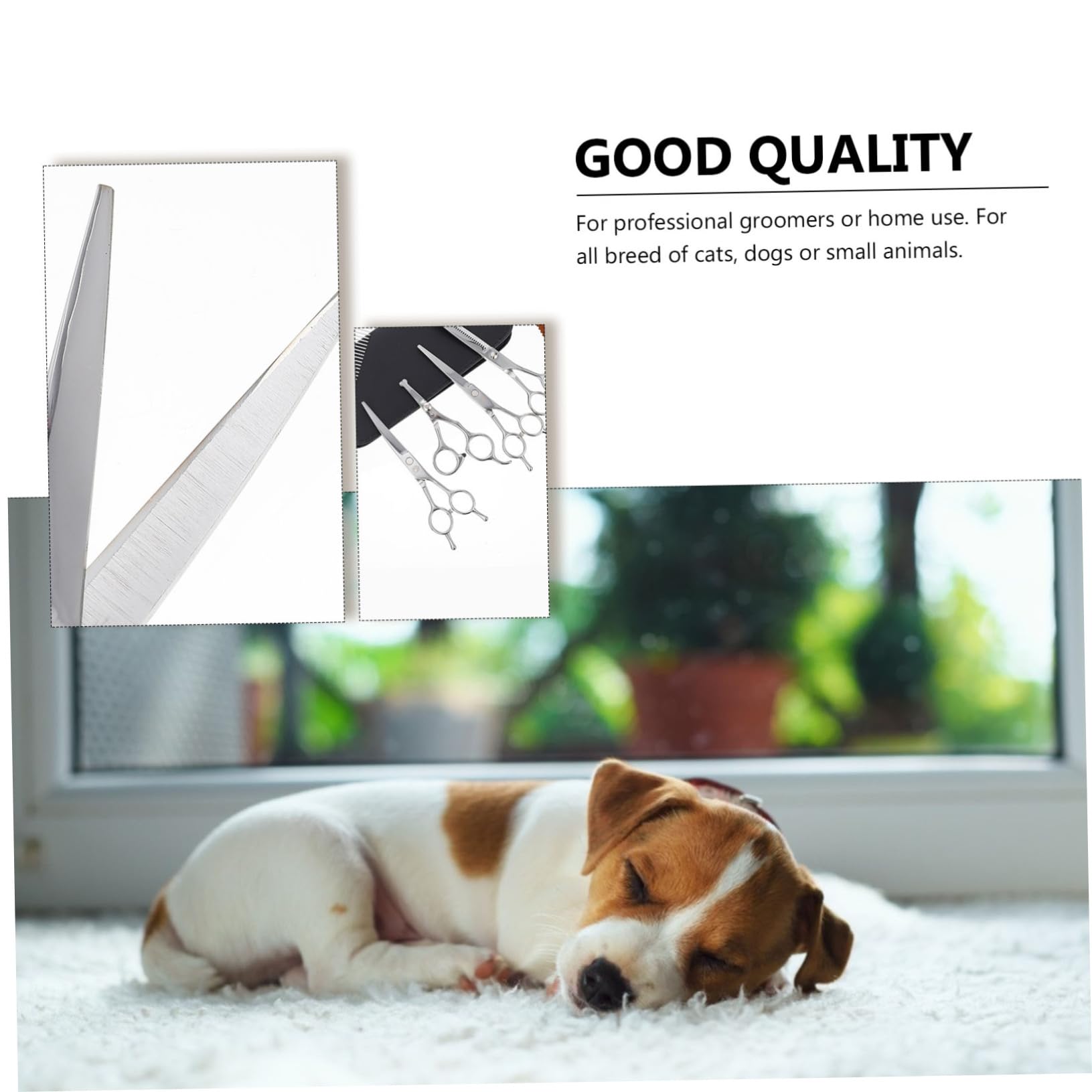 BESPORTBLE Ciseaux de Coupe pour Animaux Acier Inoxydable Ciseaux de Toilettage pour Chiens pour Pets