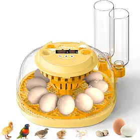 Incubadora De Ovos Para Chocar Pintinhos, Virador Automático De Ovos Comporta 12 Ovos, Incubadora Inteligente 360° Janela Transparente Com Display De Temperatura E Umidade, Ovoscopia Para Av
