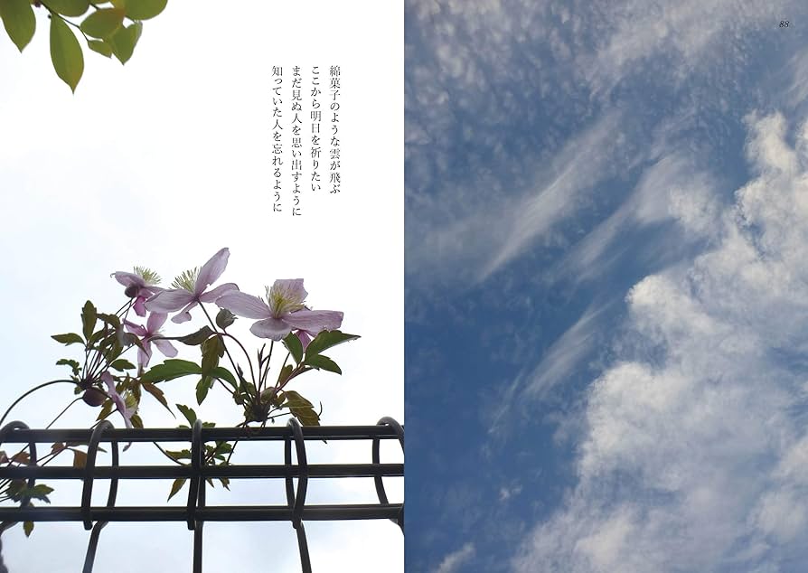 銀色夏生 作品集 21冊セット 71iDh3EfUsL._UF894,1000_QL80_.jpg