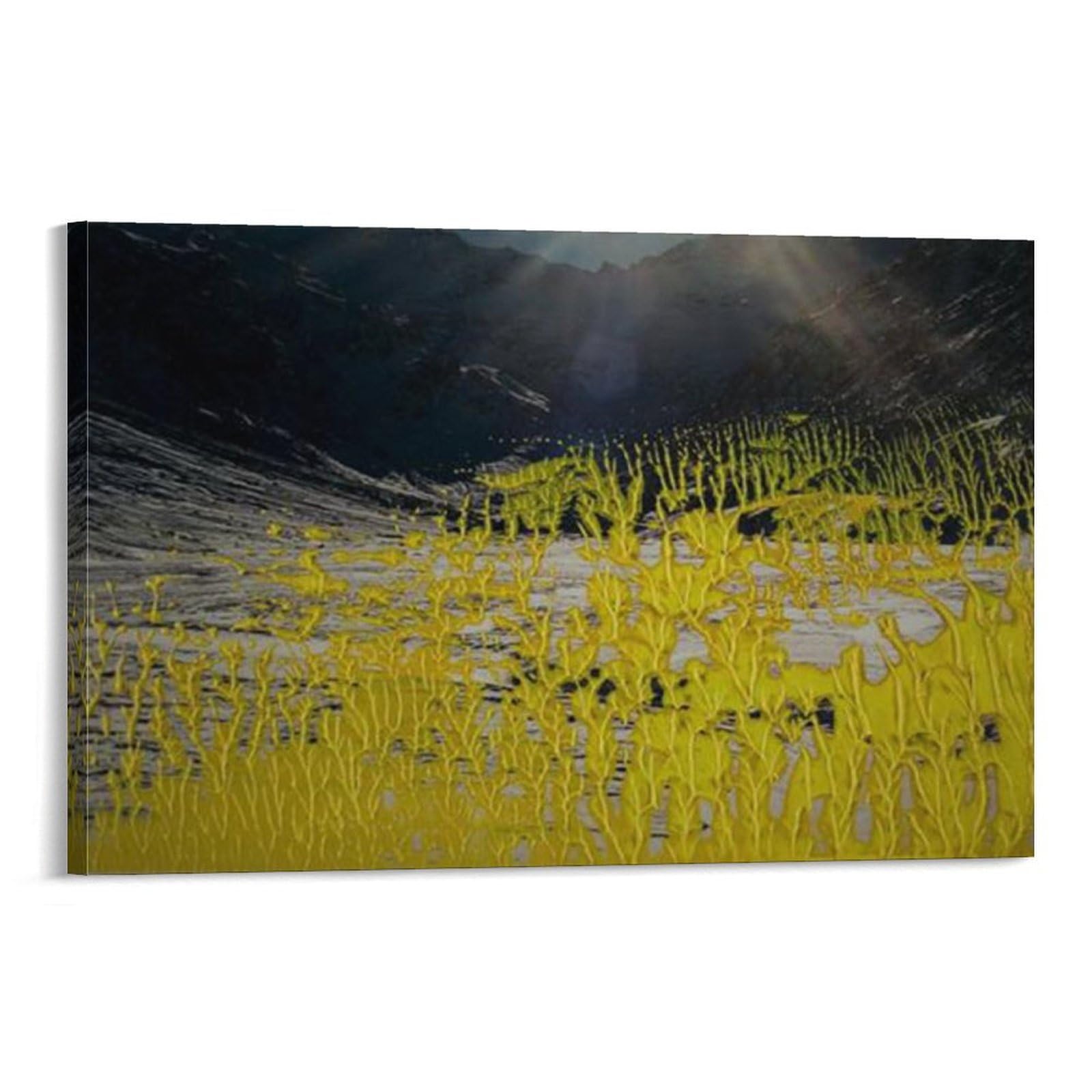 ゲルハルト・リヒター ポスター Amazon.co.jp: Art Print 19.3.92 1992 by Gerhard Richter