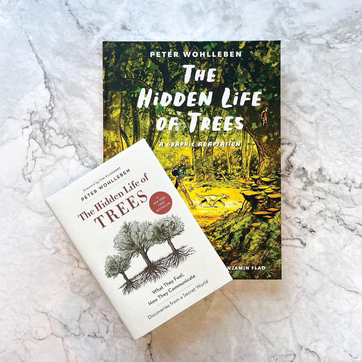 The Hidden Life of Trees: A Graphic Adaptation: (Of the International Bestseller)