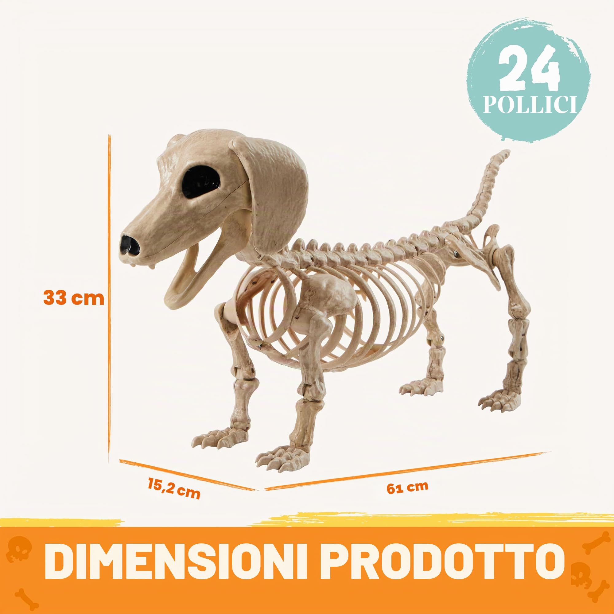 JOYIN Wiener - Scheletro di cane in plastica da 61 cm, scheletro snodabile, decorazioni per Halloween con giunti mobili, per scene di cimiteri, casa infestata, decorazione per feste, spettrale