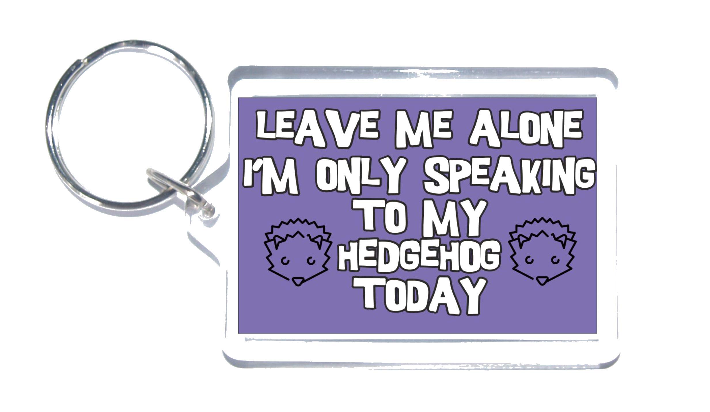 Love Hedgehogs - Leave Me Alone I'm Only Talking To My Hedgehog Today - Novelty Keyring - Ideal Present