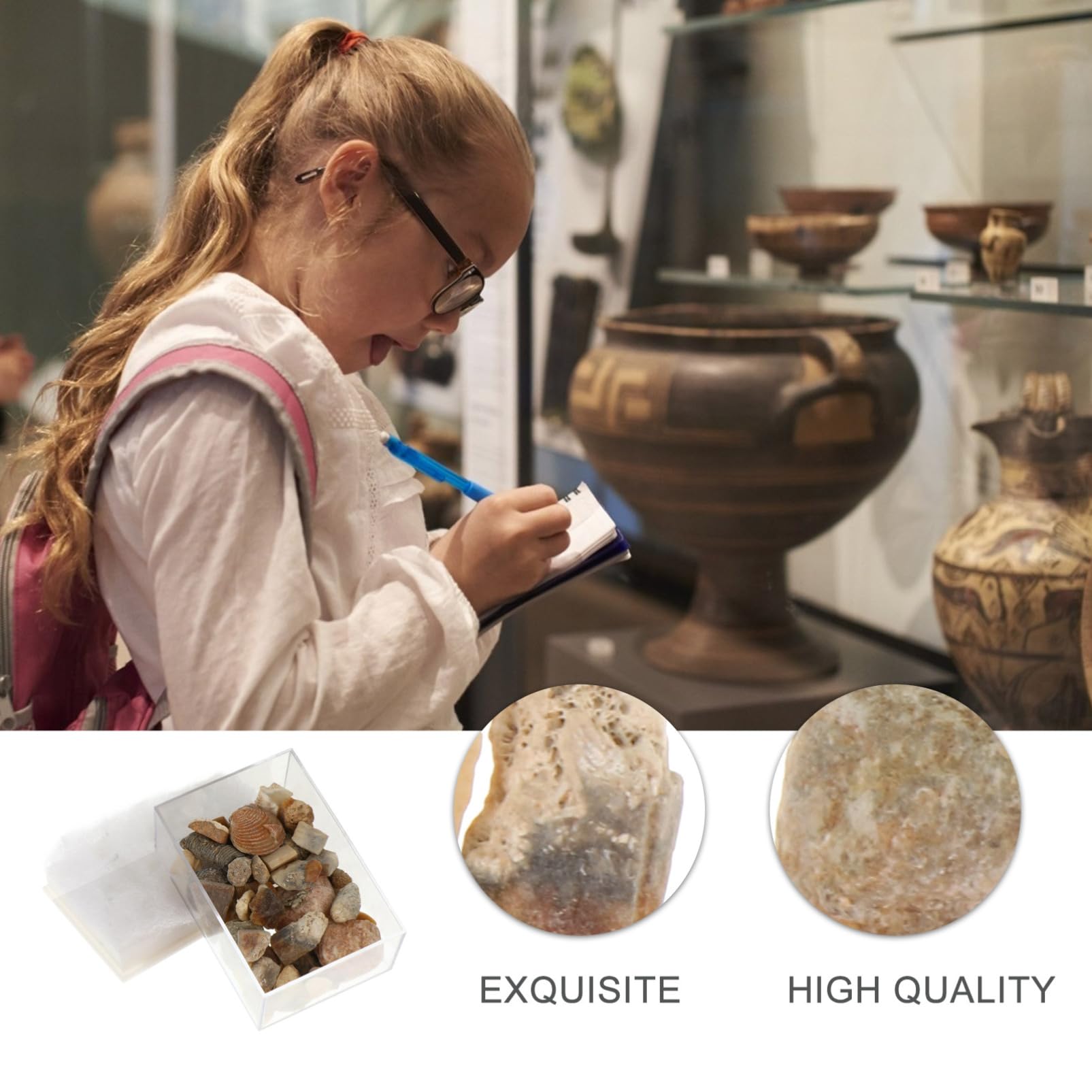 Cabilock 2 Boxes Collection Stones Specimen Natural Teaching Stones for Boys and Girls Home Garden Decor