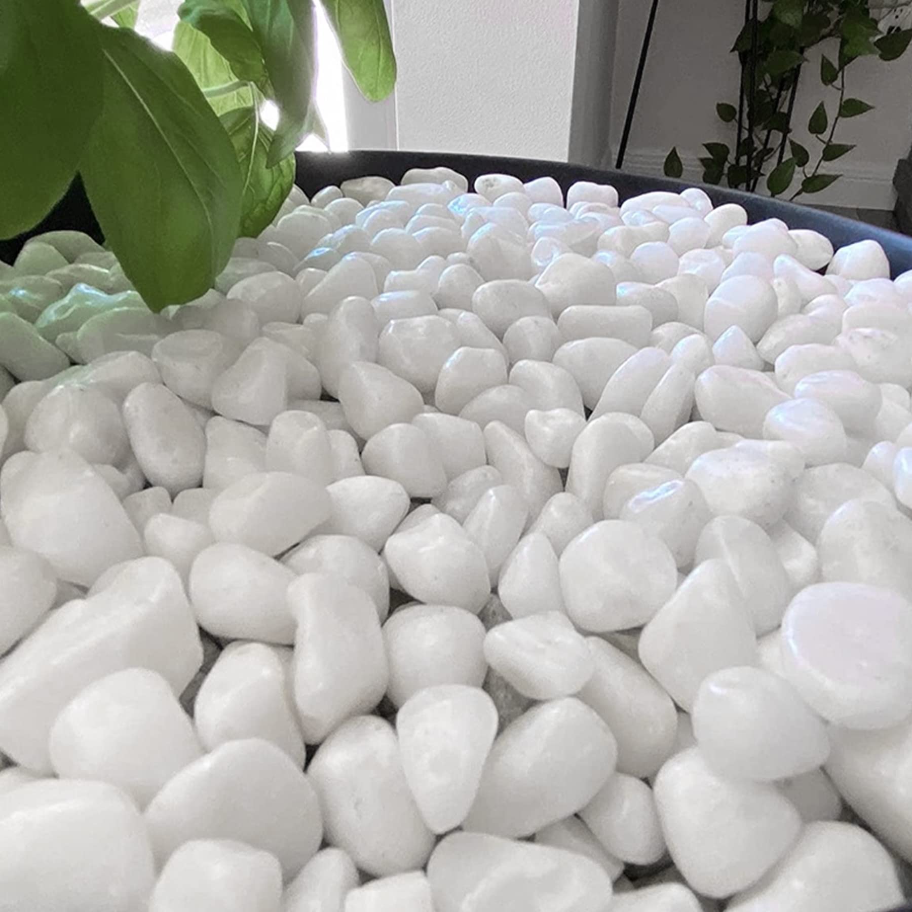 Ciottoli per piante (Bianco, 10 lb)