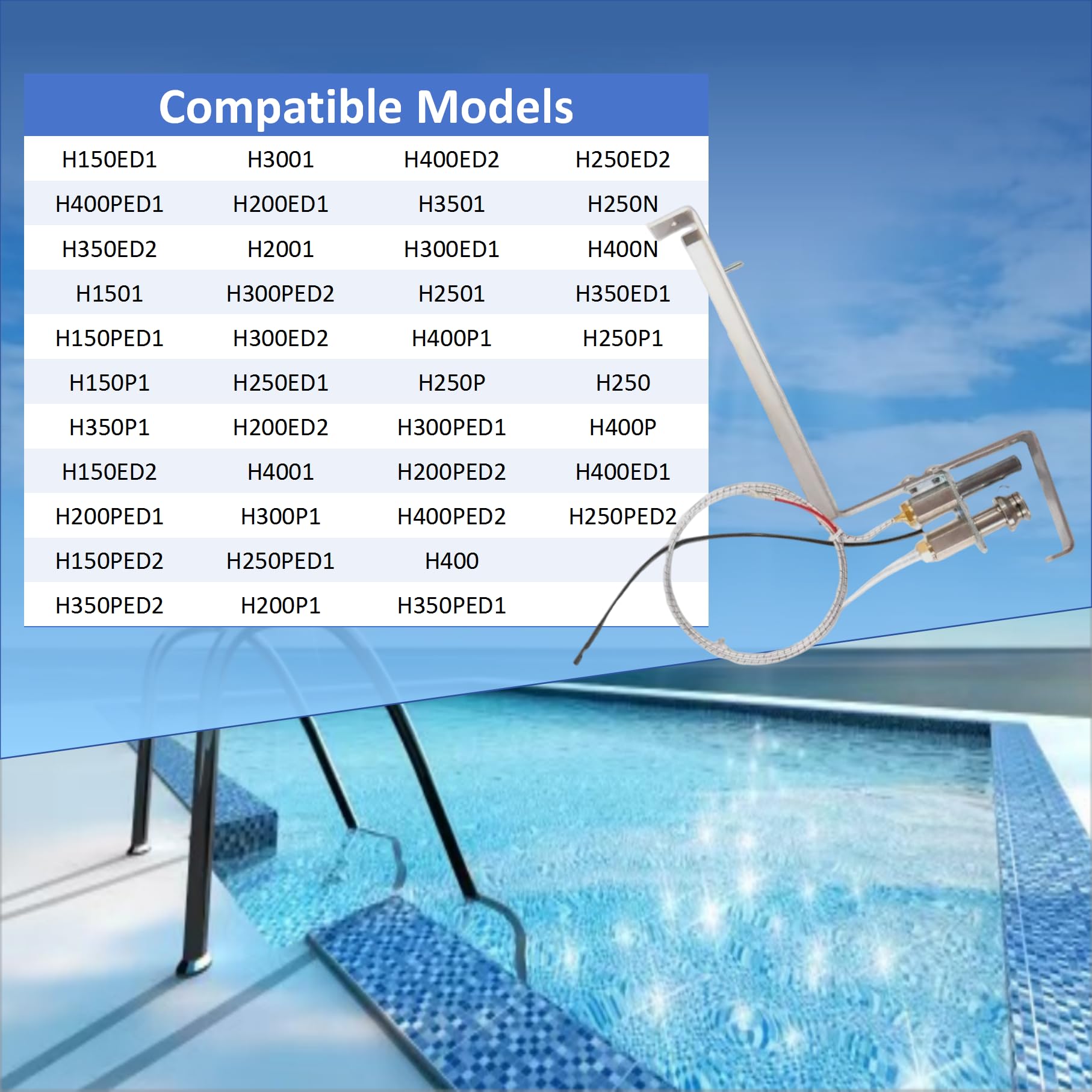 long term HAXPLT1931 - Pieza de repuesto de piloto de gas natural adecuada para calentador de piscina Hayward H-Series Ed1. Incluye montaje piloto, tubo piloto y accesorios y termopila