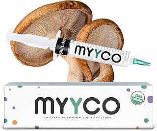 Organic Shiitake Liquid Culture - Isolated Genetics for Fast Growth & Larger Mushrooms - Faster Growing Than Shiitake Spores - USDA Certified Organic Shiitake