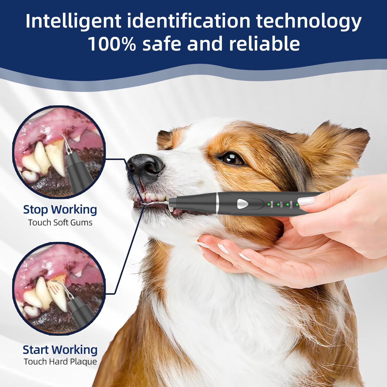 Herramienta de eliminación de placa dental: kit de limpieza de dientes de perro, raspador dental para sarro y placa, 3 modos de limpieza, carga USB, herramientas de limpieza de dientes con