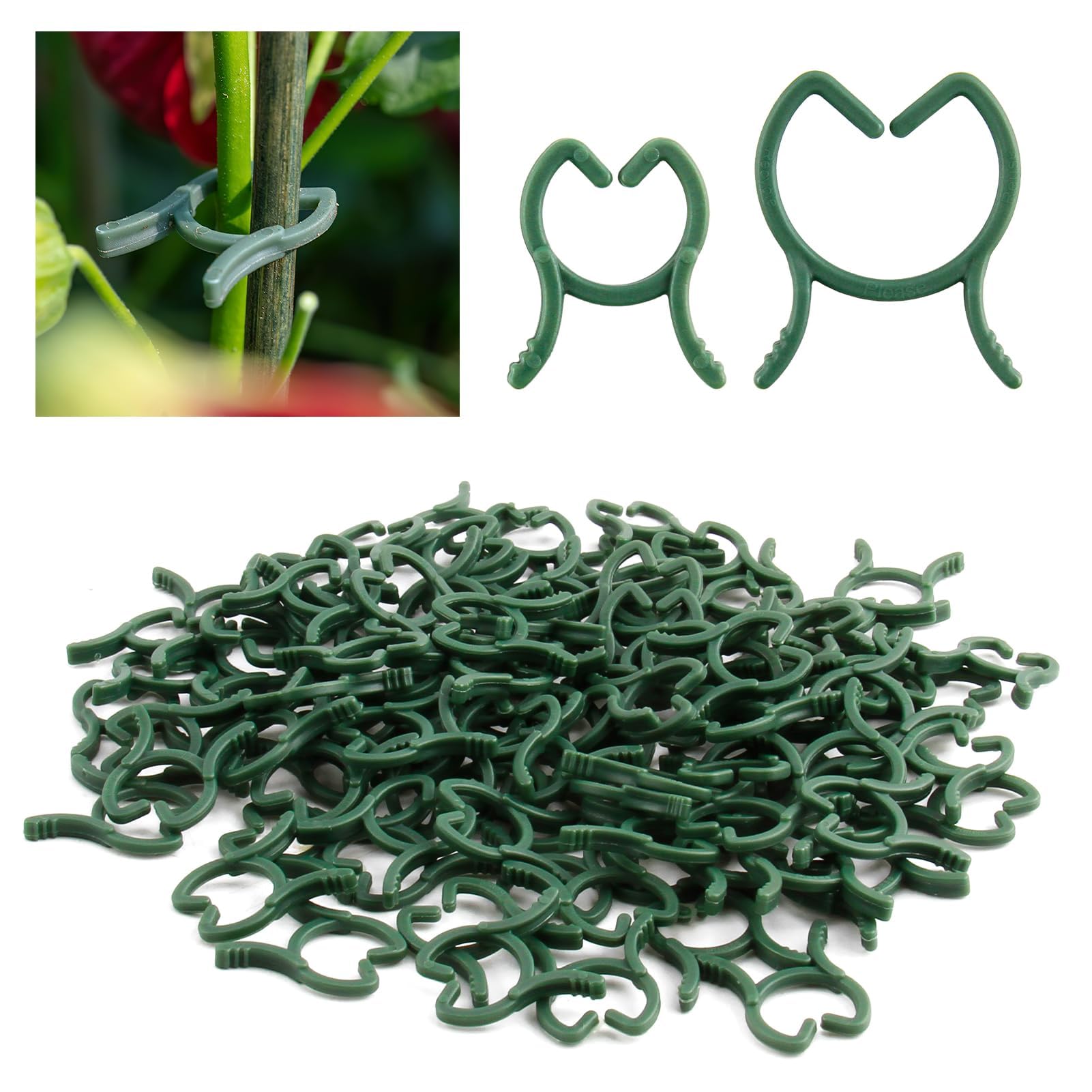 clips de support plantes 200 pièces