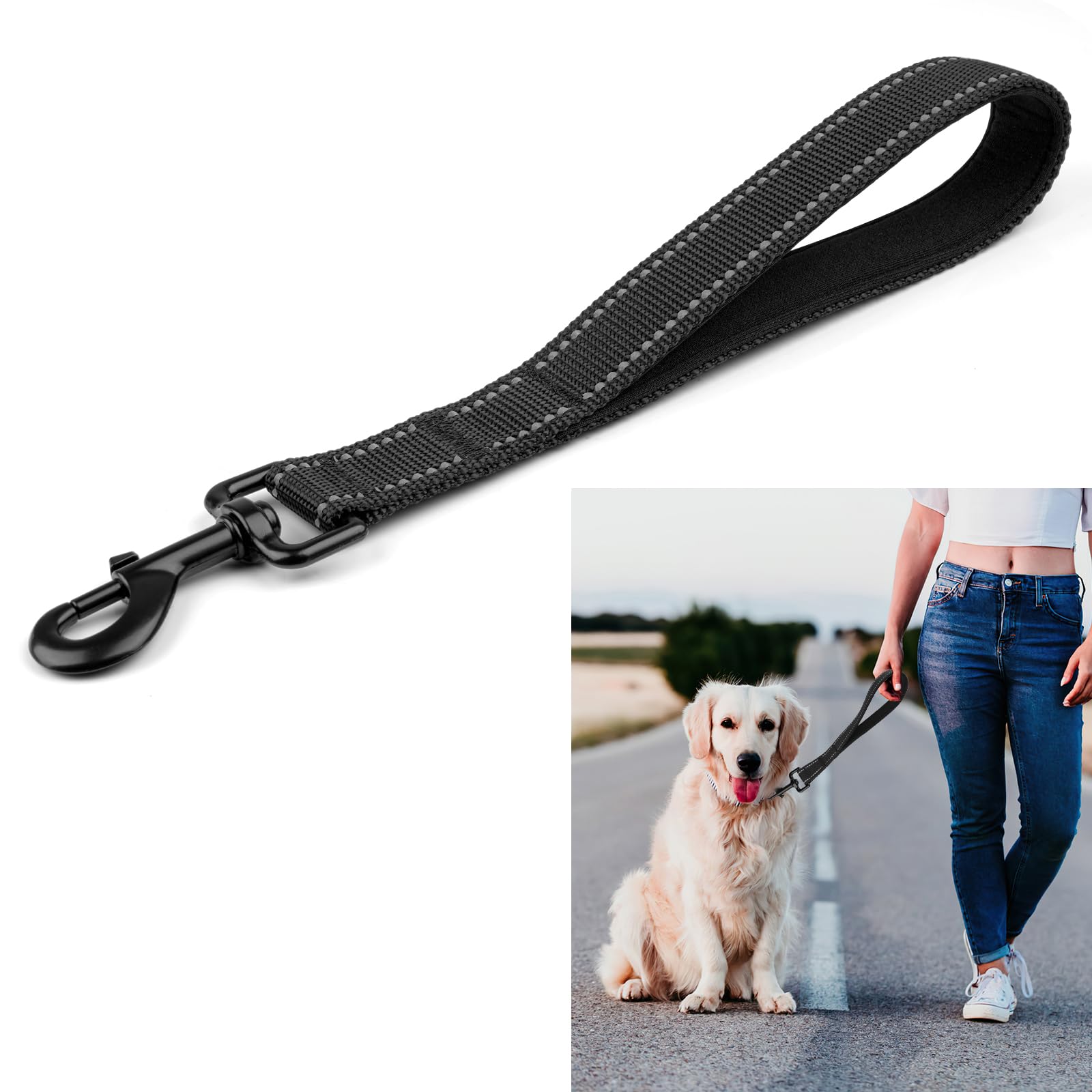 Hundeleine Mit 2 Gepolsterten Griffen – Reflektierend, 3-9 M, Für Training & Spaziergänge