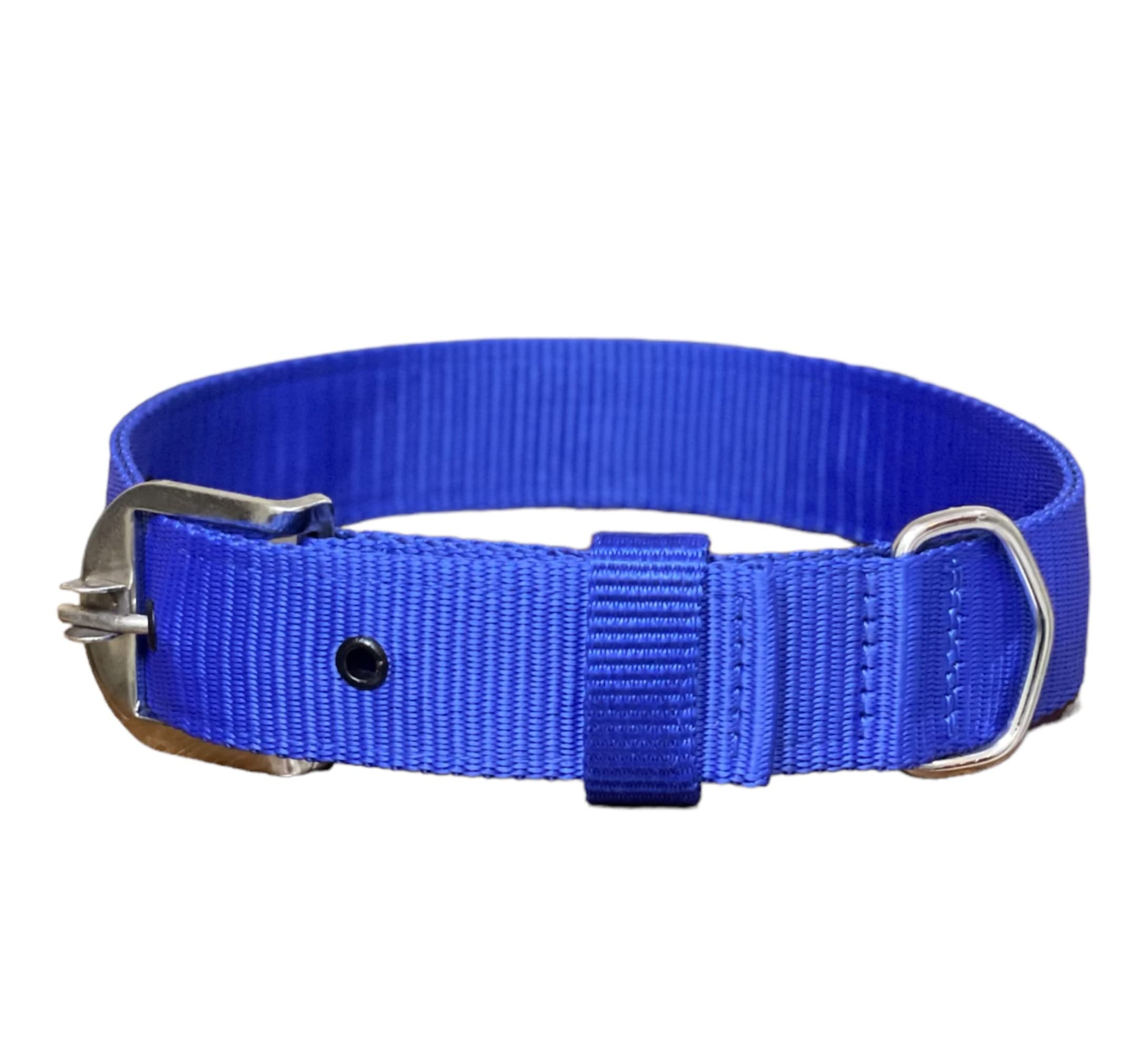 Royal FelineRoyal Feline Dog Collar for Medium Dogs | Adjustable Dog Neck Collar with Metal Buckle and D Ring. (Medium, Blue)