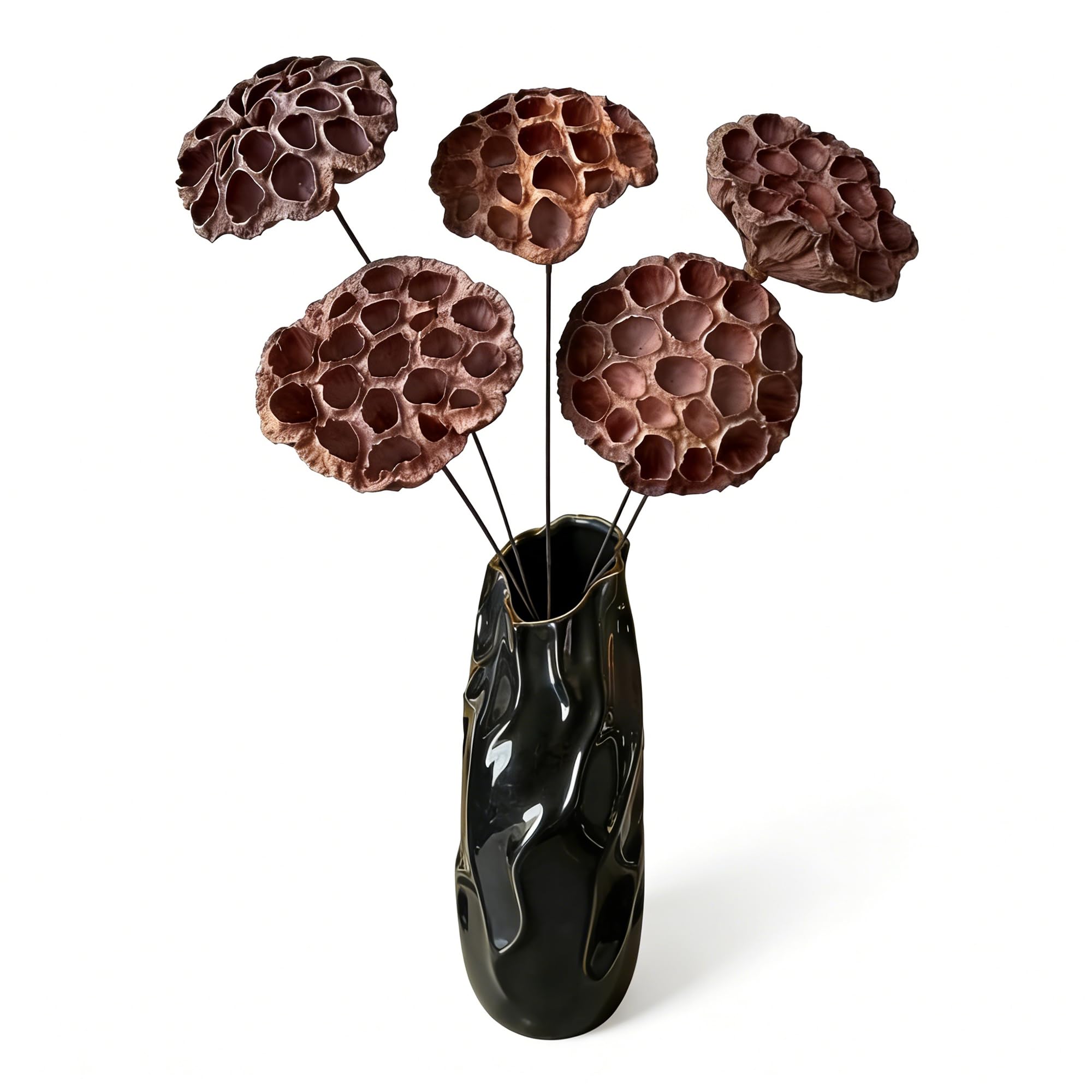 Cápsulas de loto naturales para centros de mesa rústicos y arreglos florales de otoño