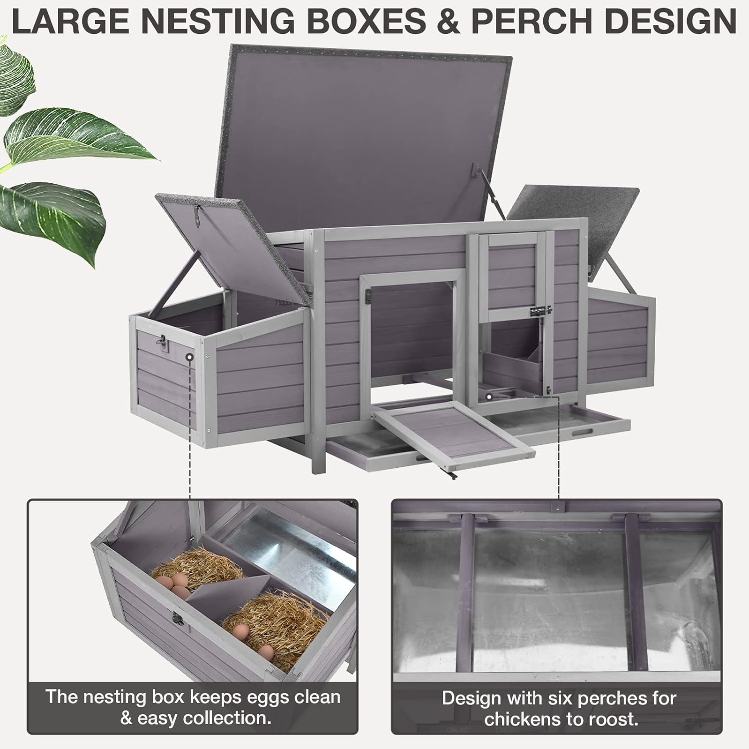 Large nesting boxes with eggs and perches