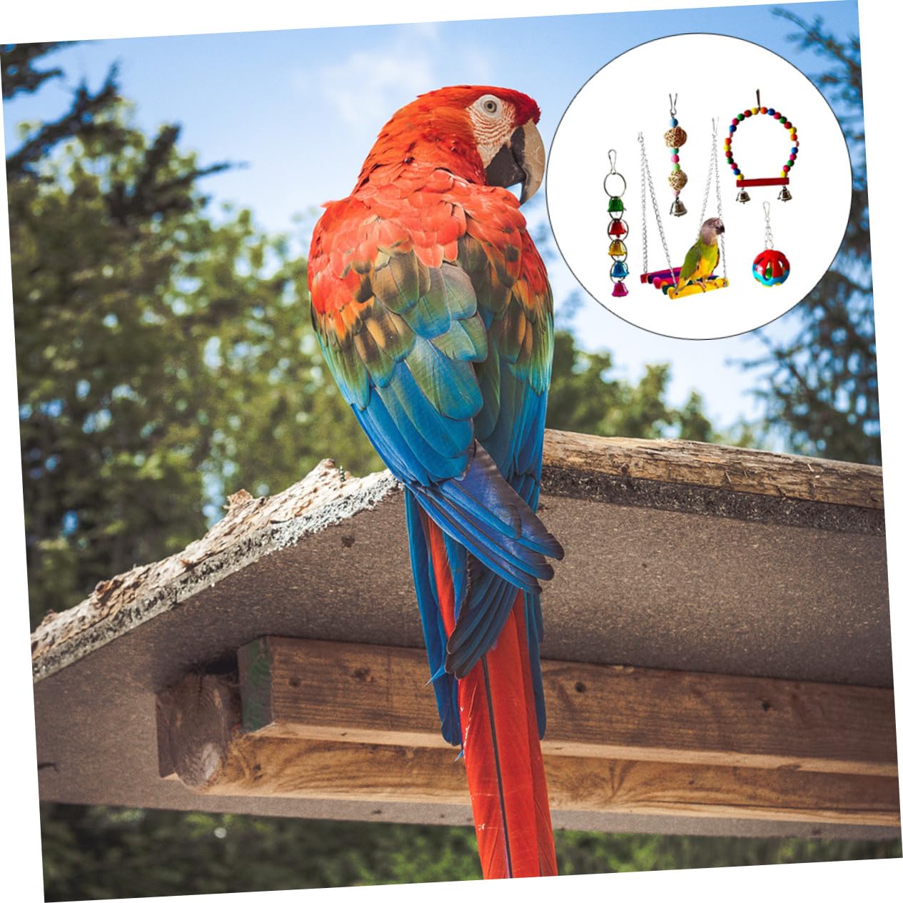 PartyKindom 5pièces Jouets à Mâcher pour Oiseaux Jouet pour Perroquet et Accessoires pour Animaux