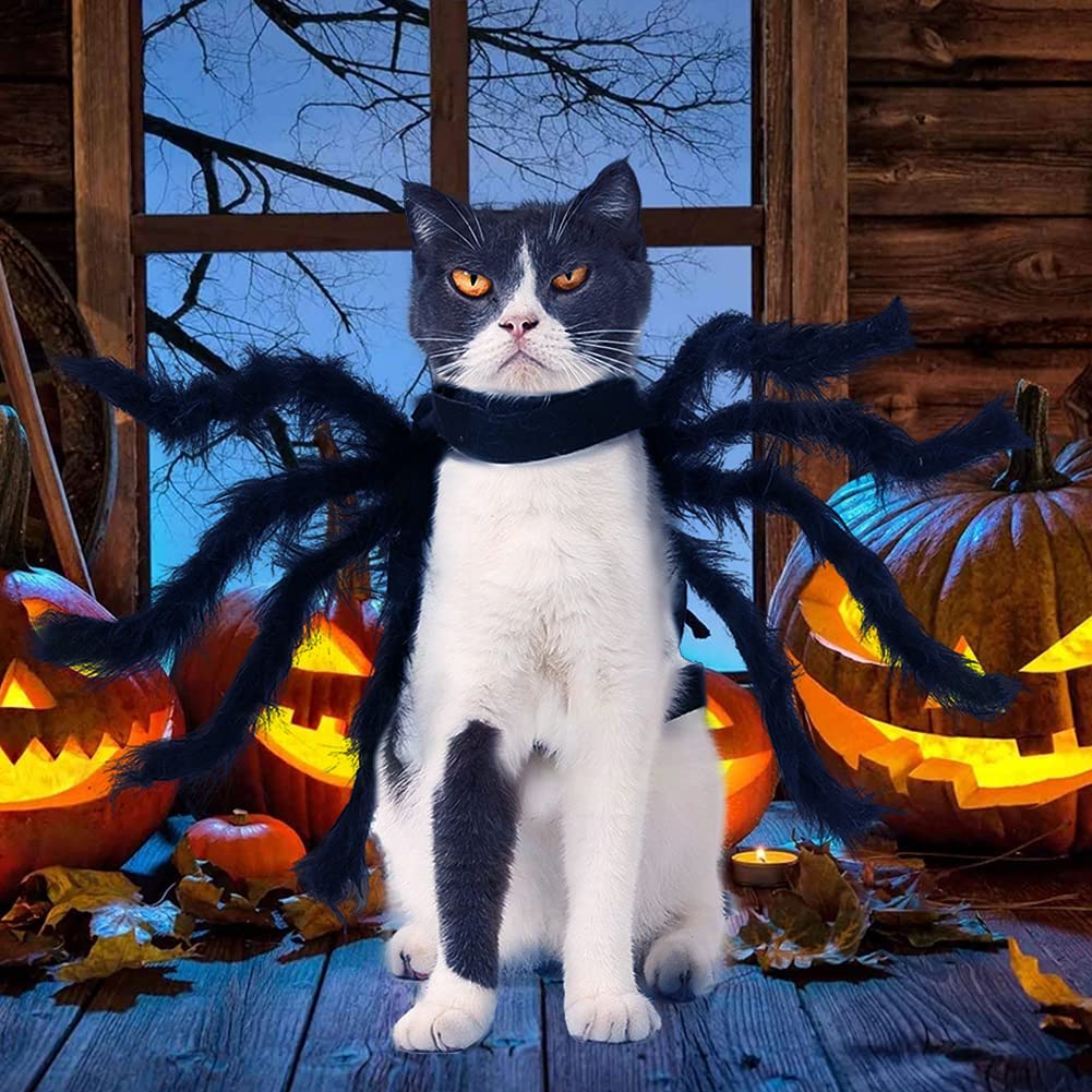 Costume D'araignée D'Halloween Pour Chien Et Chat - Costume D'araignée De Simulation Réglable Et Respirant Pour Animal De Compagnie