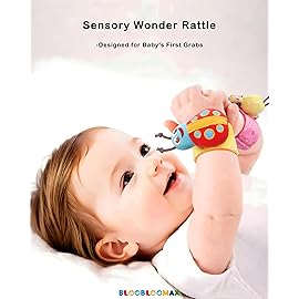 Baby Hanging Rattle, Wrist Rattles Foot Finder Rattle Sock, Hand and Feet Rattle Toy, Newborn Present Baby Shower Birthday Gift Set for0 3 6 9 12 24 to 36 Months Babies(12 E)