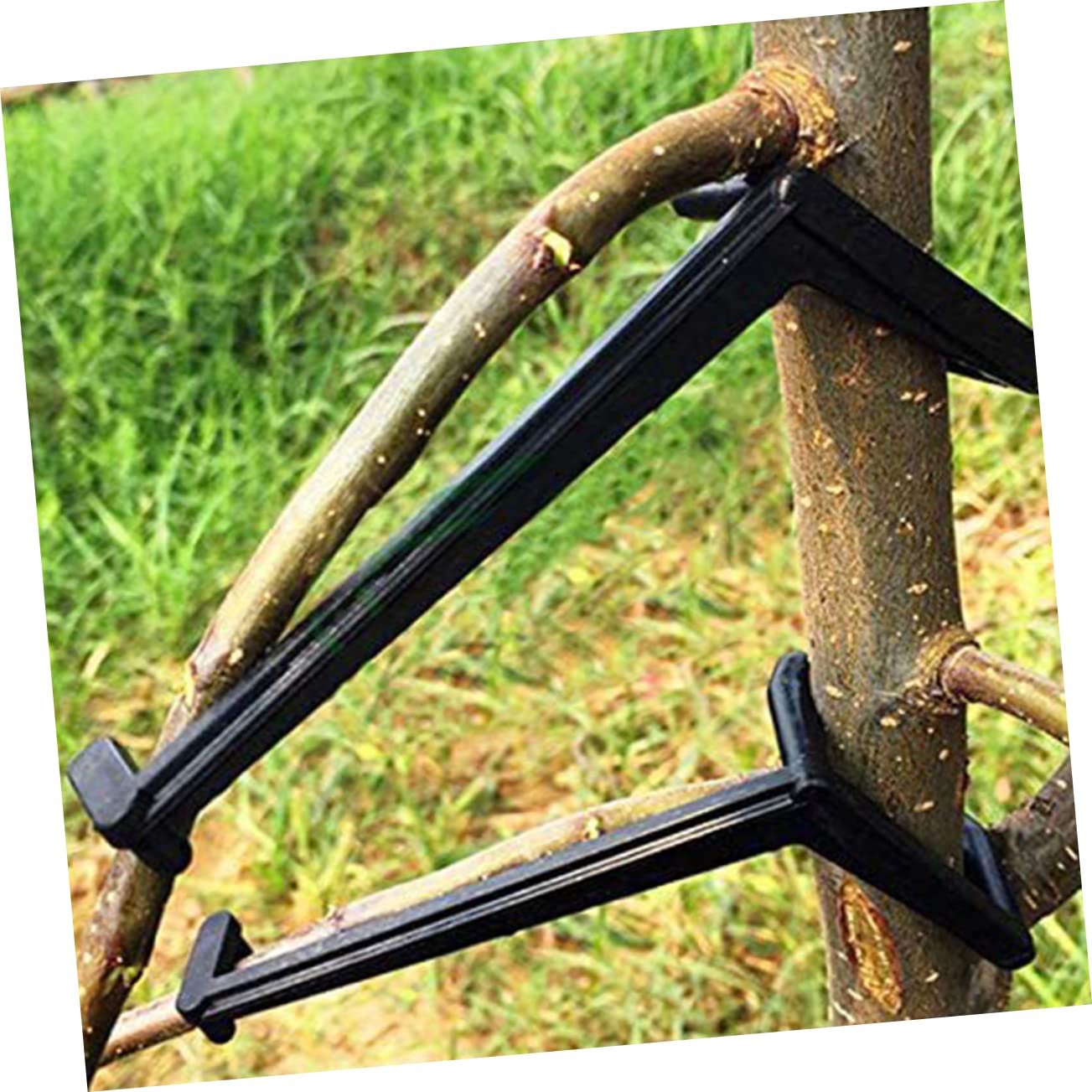 BESPORTBLE 50pièces Outils De Modélisation De Branches pour Plantes Écarteurs Réglables PE Accessoire De Jardin pour Contrôle De Croissance Forme des Plantes