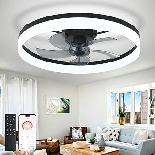 DLLT Bladeless Ceiling Fans with Lights: 24 Inch Modern Flush Mount Low Profile Ceiling Fan with APP Remote Control - Black Enclosed LED Fandelier Dimmable Quiet DC Motor for Bedroom Living Room