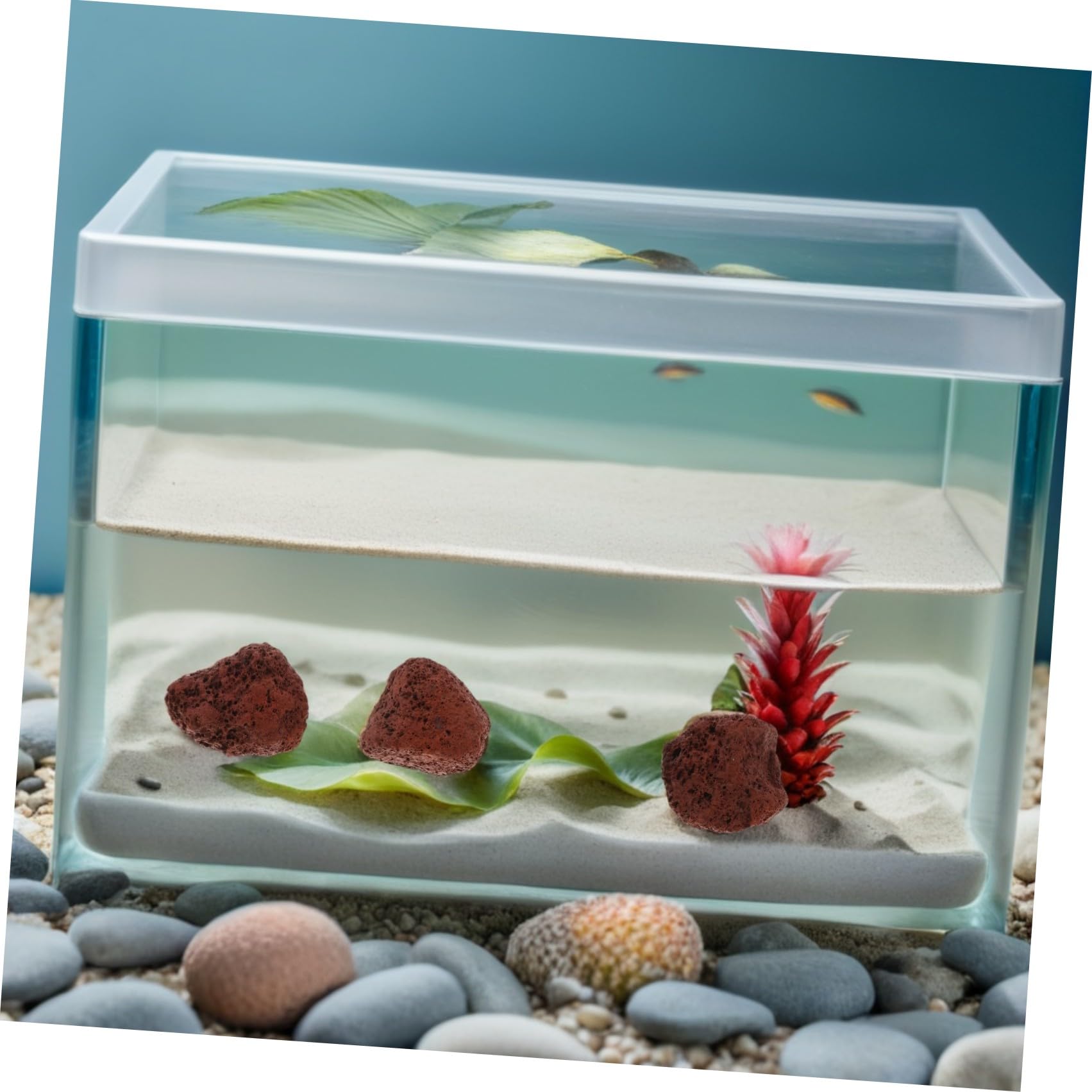 Piedras Volcánicas Naturales Que No se Disuelve de 1.5kg para Acuarios Grava Decorativa y Mejora la Filtración Biológica para Peces y Camarones en Acuarios