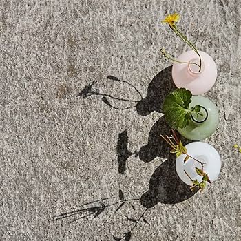 71iEGPRSeLL._AC_UF350,